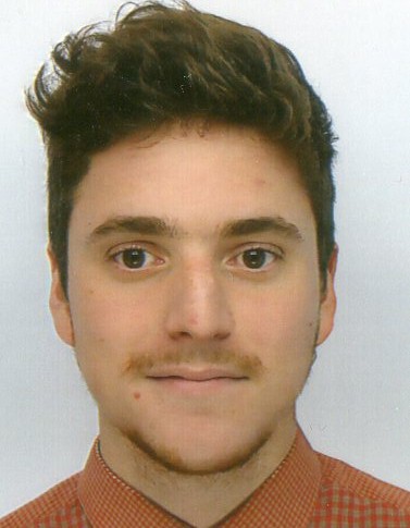 Vincent Vincent