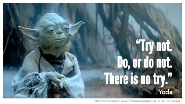 yoda - Manager Délégatif