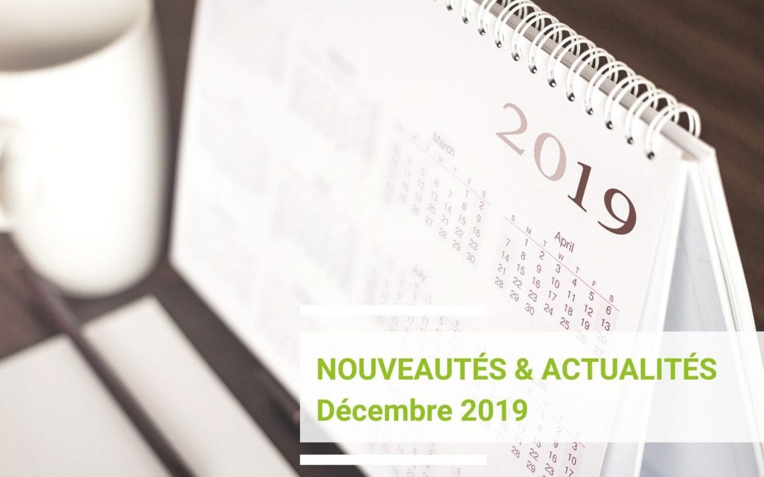 Un format d&rsquo;export reporting Beesy plus visuel